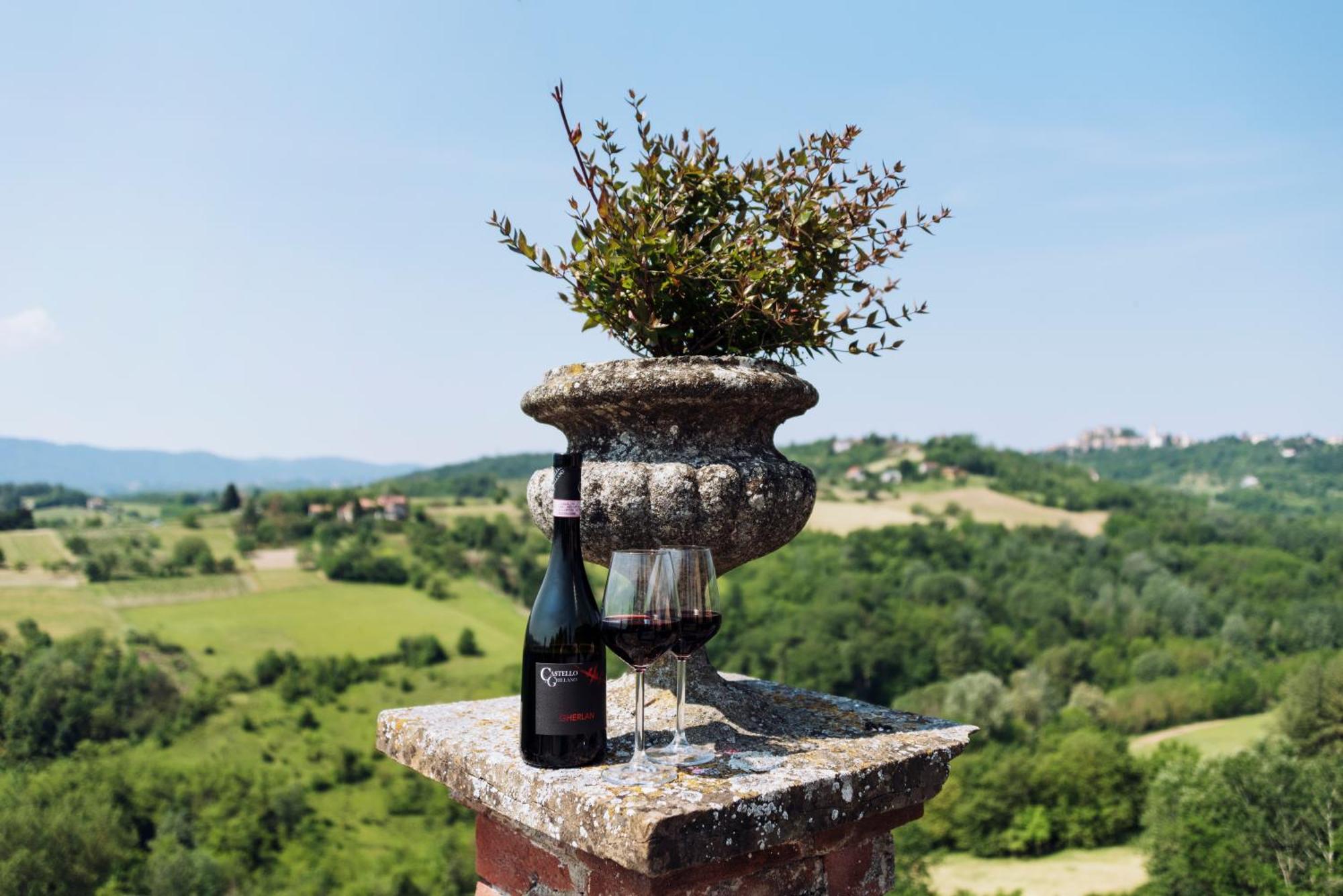 Castello Di Grillano Farm stay *
